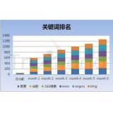 武城如何防止SEO关键词排名下降